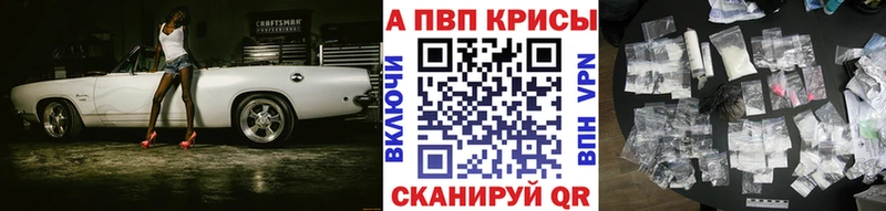 A PVP СК КРИС  Махачкала 