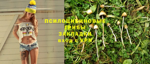 таблы Вяземский