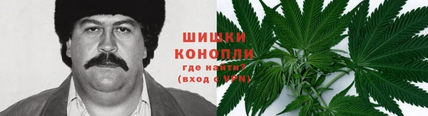 соль ск Снежинск