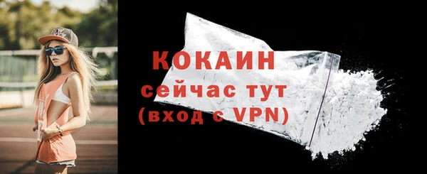 МДПВ Снежногорск