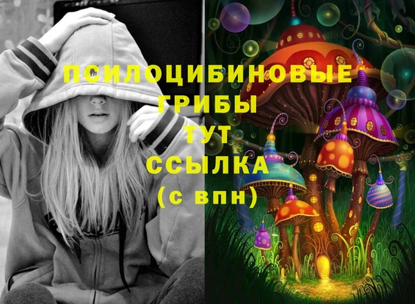 таблы Вяземский