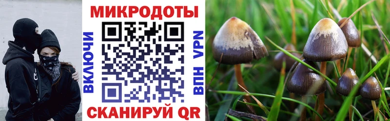 Псилоцибиновые грибы мицелий  Махачкала 
